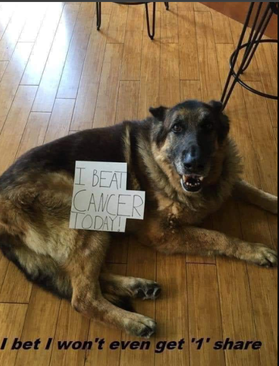 I beat cancer  🙏🤍😍