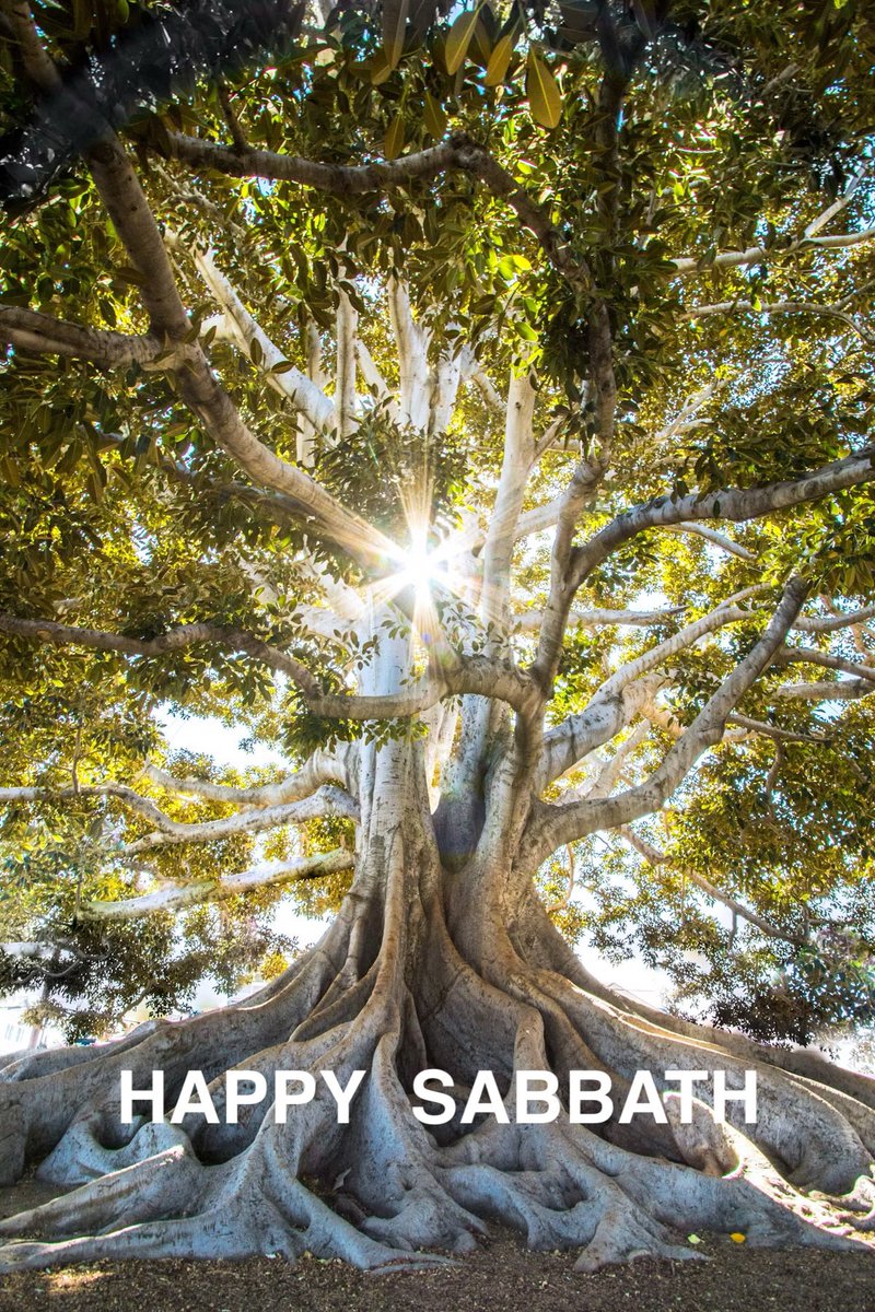 Happy Sabbath saints across the globe 🙏🙏