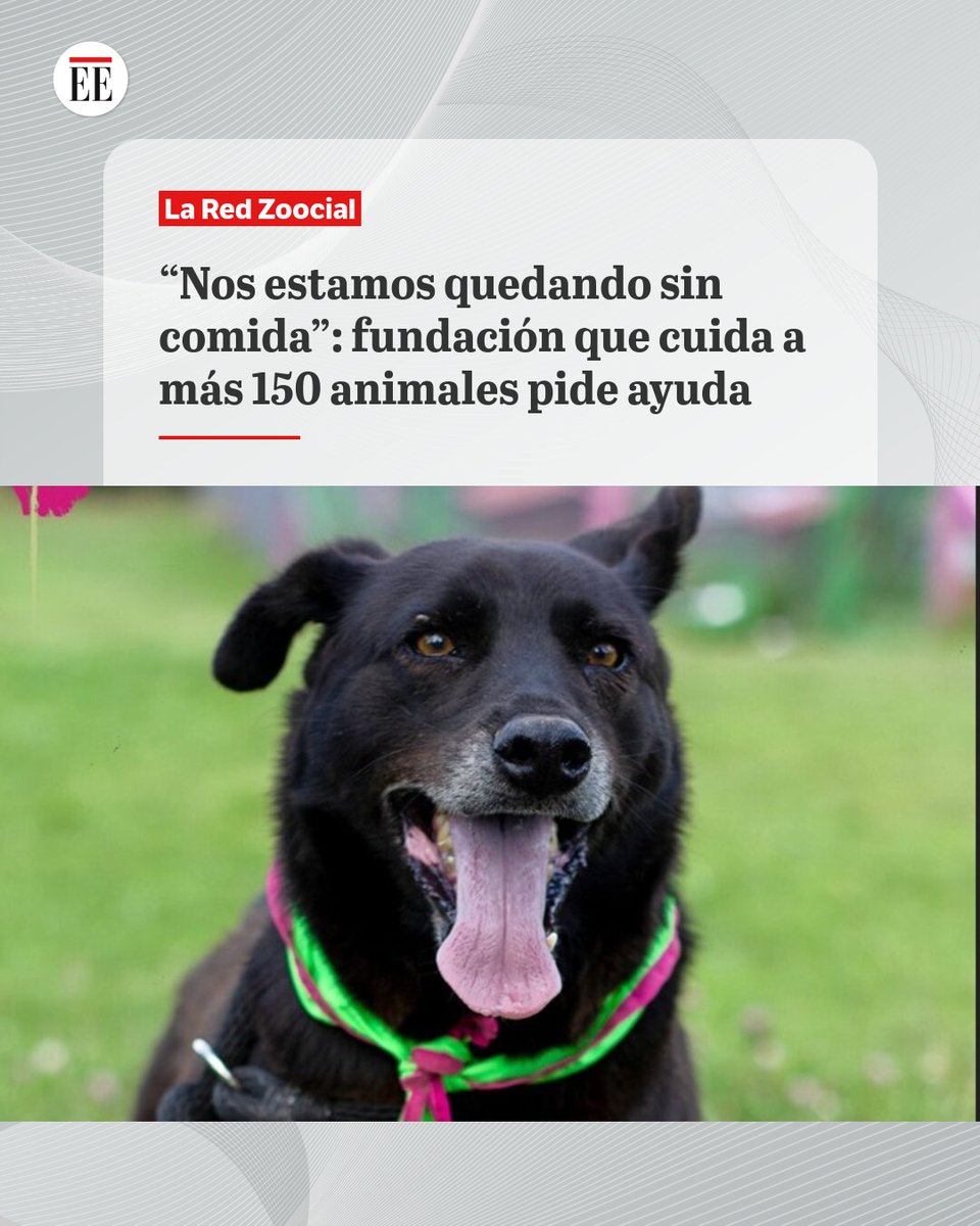 #EE | La Fundación Tepa, ubicada Suesca, Cundinamarca, enfrenta una dificultad para sostener la atención de perros rescatados del abandono.
ok.me/1gQO1👇🔗