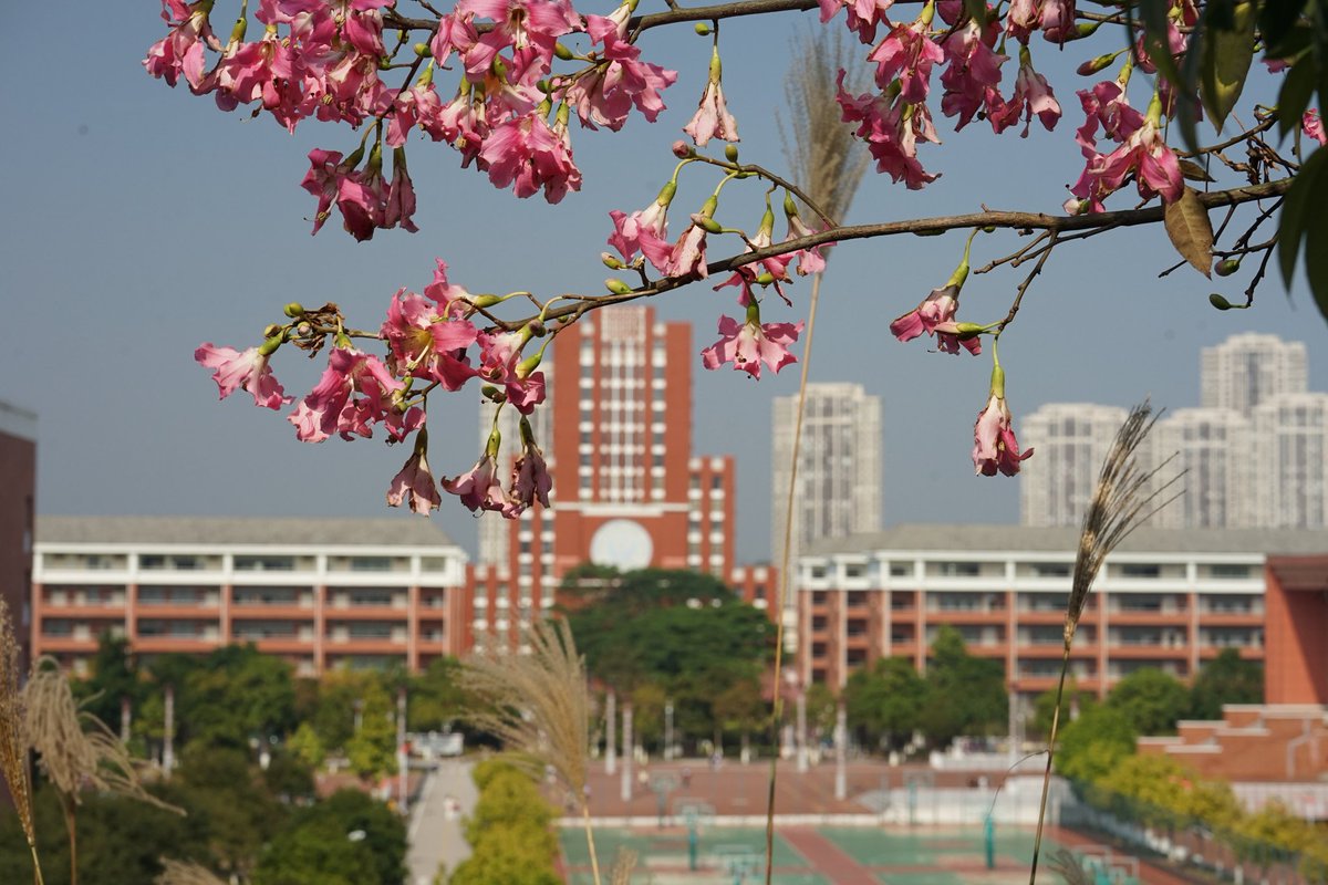 buying41111's tweet photo. 学校🏫
Sony-A7M2 https://t.co/l4iyqFruz6
