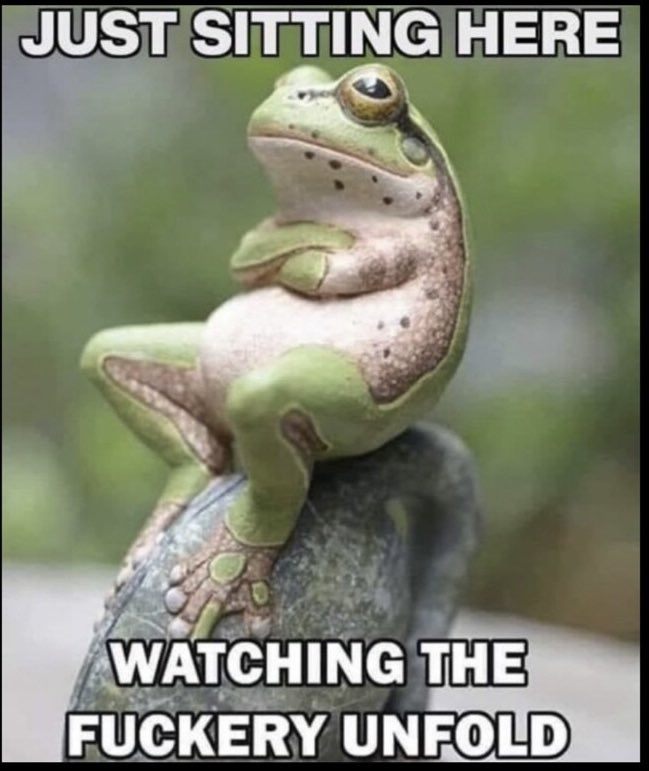 🇺🇸Positively Negative🇺🇸 tweet media