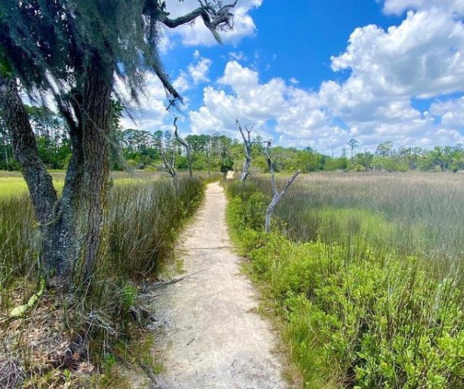 Find #Savannah family fun &amp; kids' happenings in this week's free SouthernMamas.com E-letter including Summer Camps 2026 that are open for registration here: tinyurl.com/2ydxup9f #savannahsummercamp