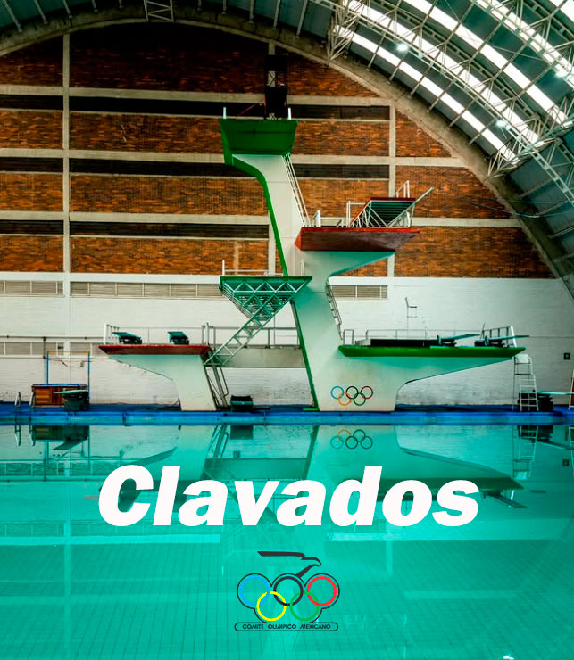 ¿Quiéres probar y deporte espectacular y nuevo?
Clavados en el Comité Olímpico Mexicano en CDMX

Informes WhattsApp - 56 3397 2429