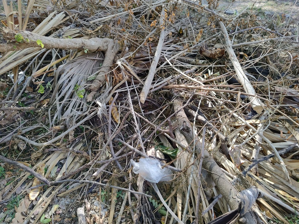 Dani Sureste tweet media