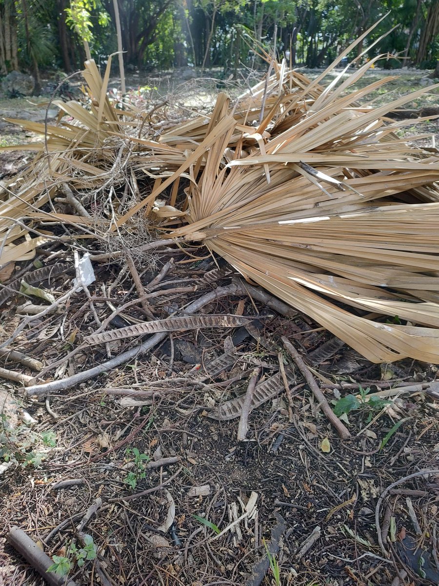 Dani Sureste tweet media