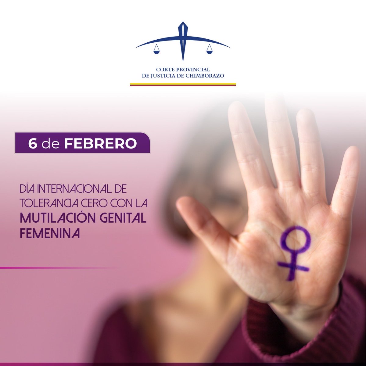 Corte Provincial de Justicia de Chimborazo tweet media