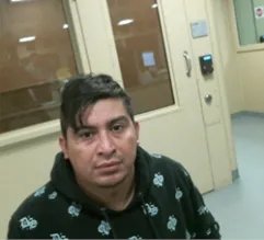 Homeland Security tweet media