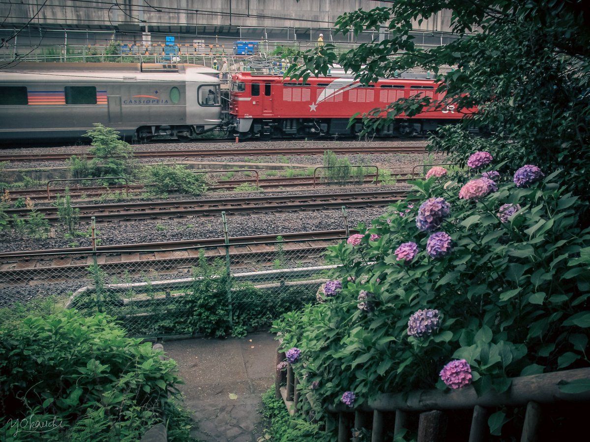 Yuji Okauchi🛤️ (@_okka3785) / Posts / X