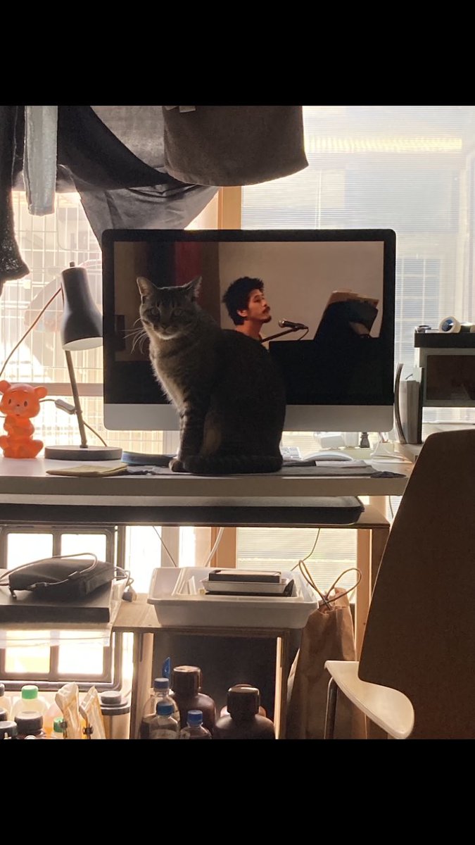 nanoluvsteb's tweet photo. #坂口恭平
��ねこ https://t.co/7ZUSj16rxM