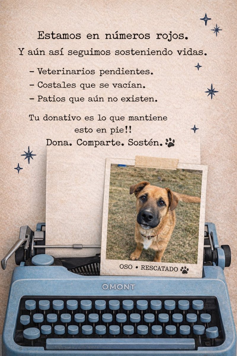 El refugio está en números rojos.

Hay deudas veterinarias.
Hay costales de croquetas que se vacían.
Hay espacios que aún no existen 😔

Cientos de vidas siguen aquí
Porque decides ayudar y no mirar a otro lado 💙🐾✨

Cuentas Toby

- BANCOMER
Cuenta: 0117412991
Clabe: