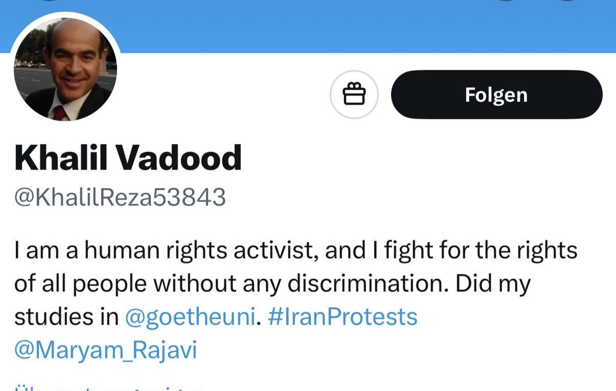 چند روز پیش ایمیلی از یکی از نمایندگان حزب CDU آلمان دریافت کردم که در آن درباره فردی به نام «خلیل ودود» از من پرسیده بود. همچنین چند نفر از دوستان ما در هامبورگ و برلین خبر داده‌اند که نمایندگان CDU در آن ایالات نیز از سوی این شخص برای گفت‌وگو درباره آینده ایران و حمایت از