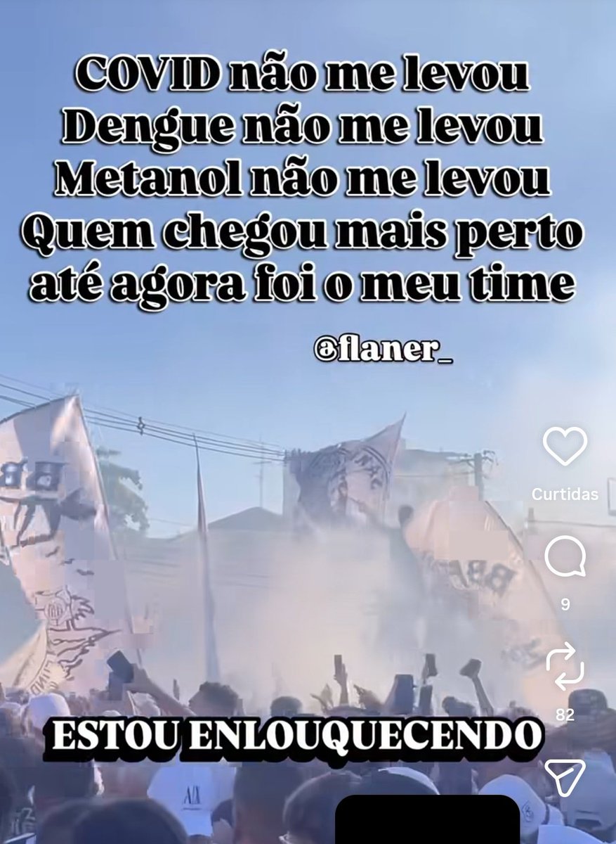 gatinho santista (@gatosantistasfc) on Twitter photo 