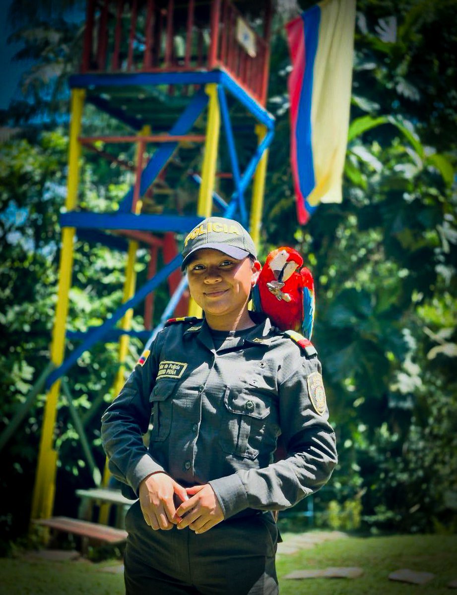 Servir a Colombia también es proteger su riqueza natural. 🌿🇨🇴

Como Auxiliar de Policía 👮🏻‍♀️💚, puedes cuidar nuestra fauna y flora, defender el medio ambiente y aportar a un país más sostenible.

Conoce cómo ingresar en 👉 policia.gov.co
#IncorporaciónPolicía
