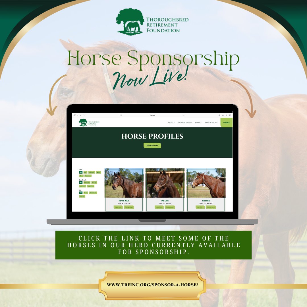 Thoroughbred Retirement Foundation (TRF) tweet media