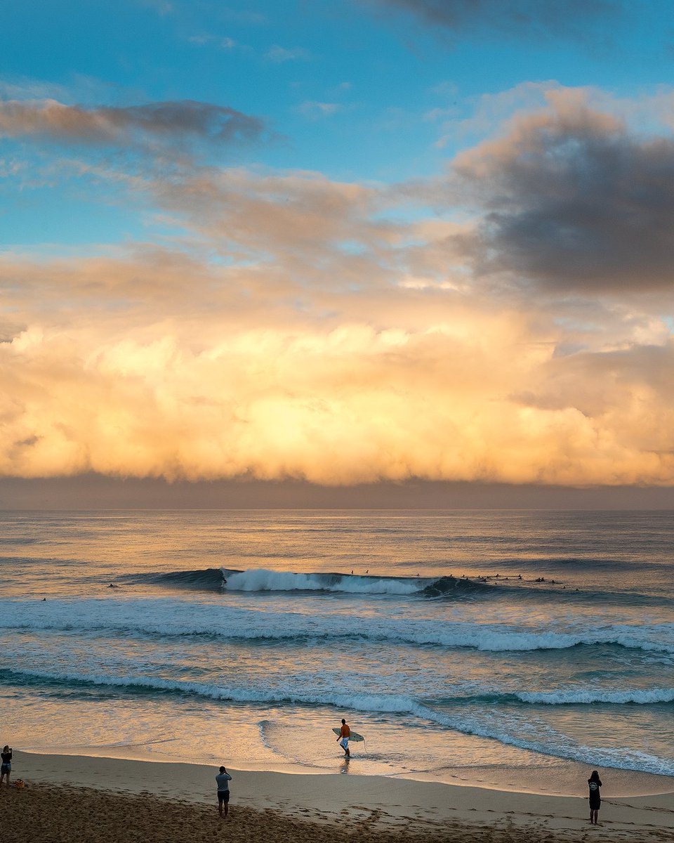 WSL Brasil 🇧🇷 tweet media
