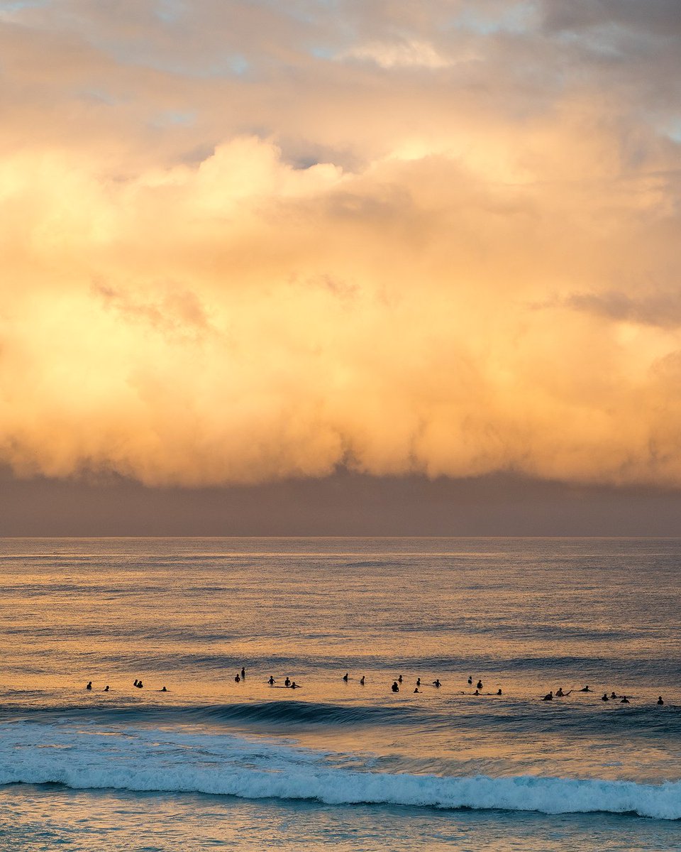 WSL Brasil 🇧🇷 tweet media