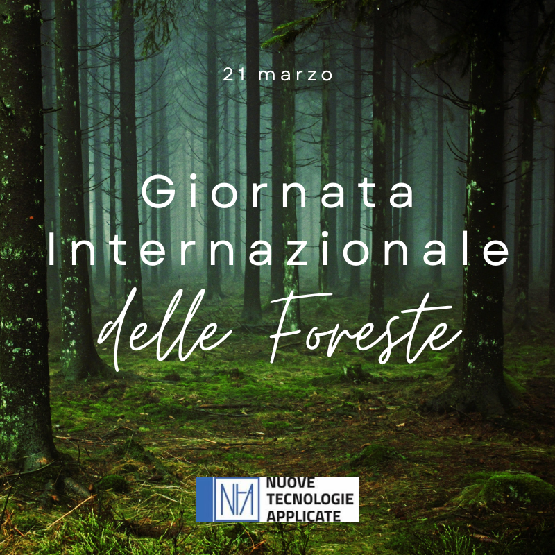 NTApplicate's tweet photo. #GiornataInternazionaleForeste
#21marzo
#InternationalForestsDay https://t.co/BdsJgXJHp1
