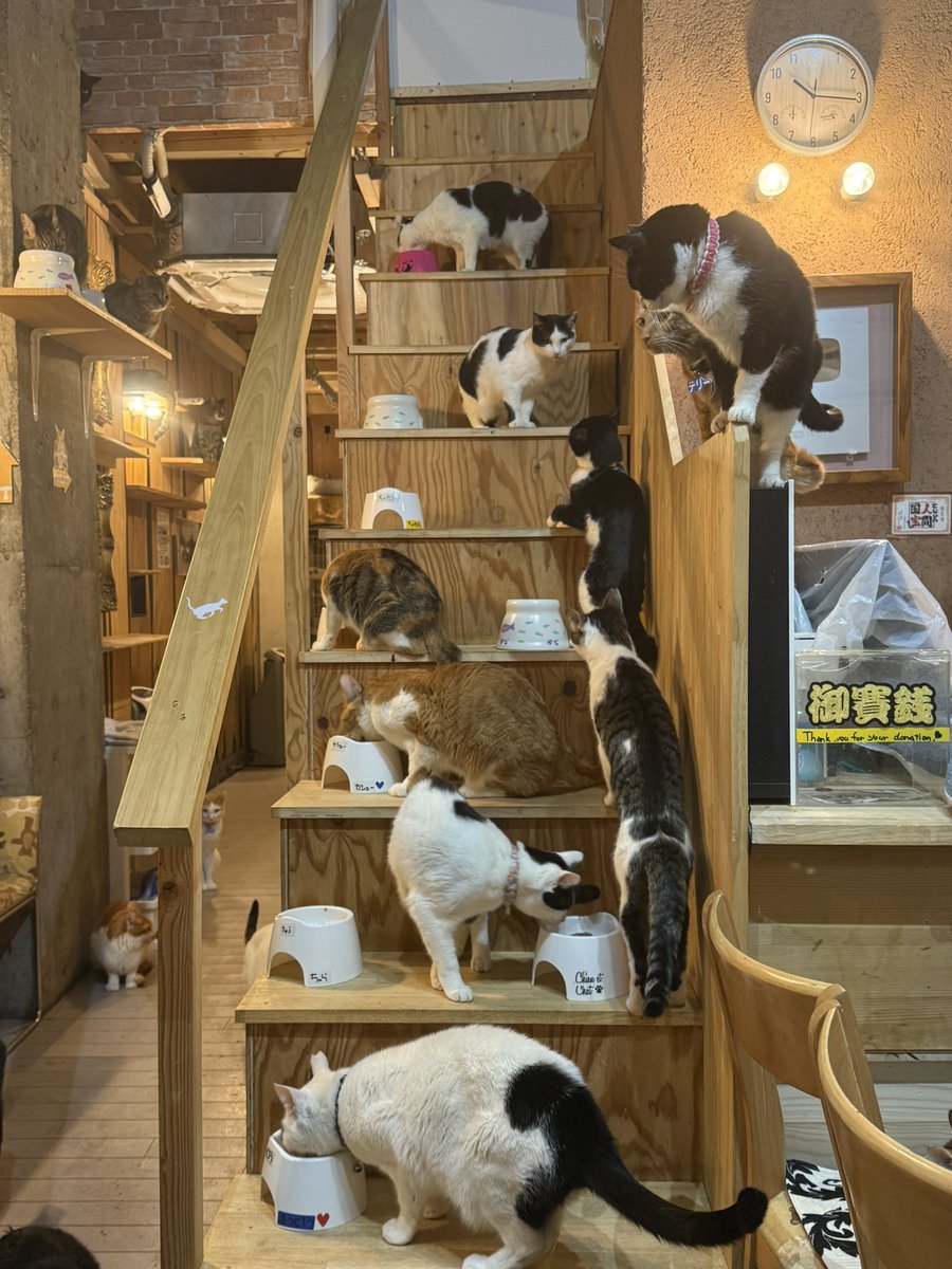 土曜日、日曜日は暖かい世界へお立ち寄りください。 当日の予約は