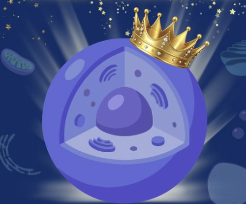 CellWallFlex's tweet photo. A crown? From inside the cell?
We don’t do monarchy—this cell stands on structure, balance, and consistency. https://t.co/P2qoaWEDcC