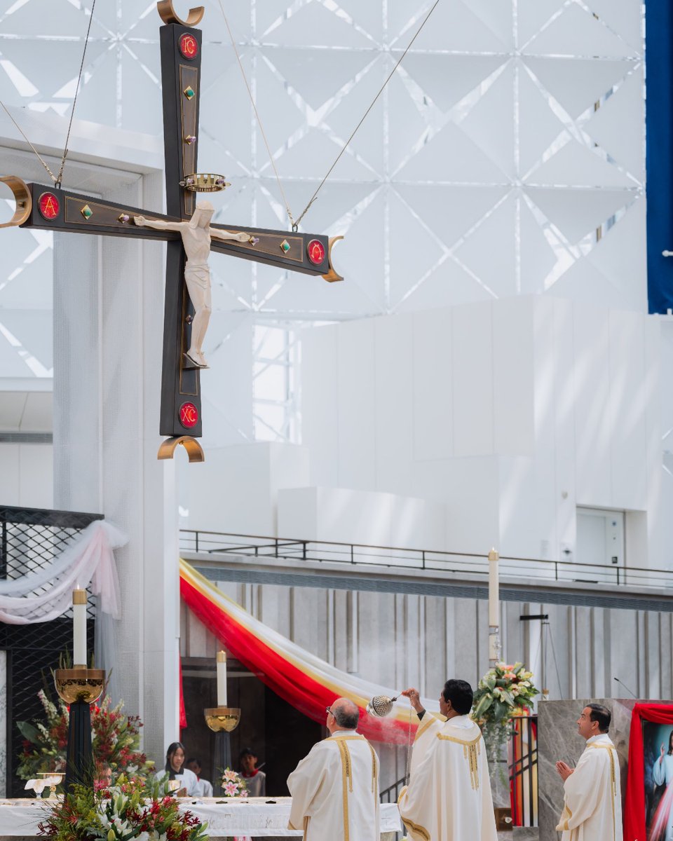 The Orange Catholic Foundation tweet media