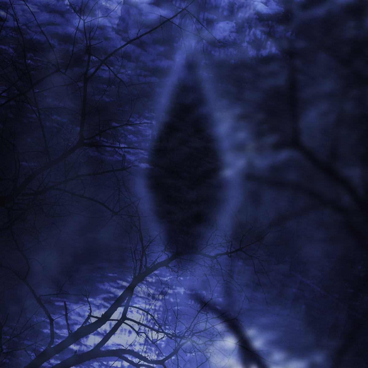 Seaclones - “Telepathy” is out via Tri-Labs. A nice live studio slab for autosuggestion. Making music with Mel is my entire world. Enjoy!

seaclones.bandcamp.com/album/telepathy