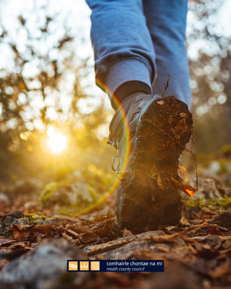 Meath County Council tweet media