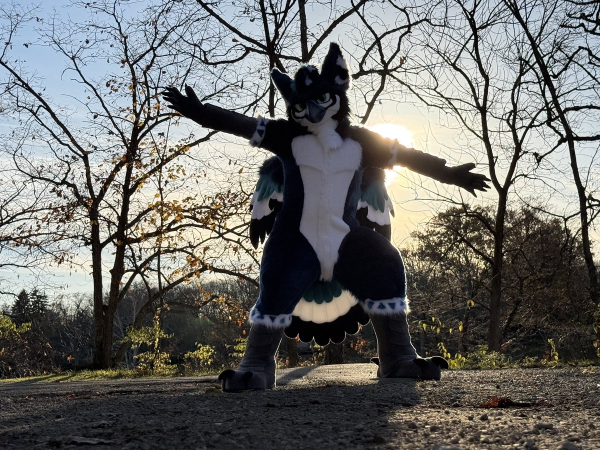 See! I’m becoming shiny! Can I be a part of your nest this #FursuitFriday?

🪡: <a href="/Wolfbird_NLCC/">Wolfbird🍁</a>