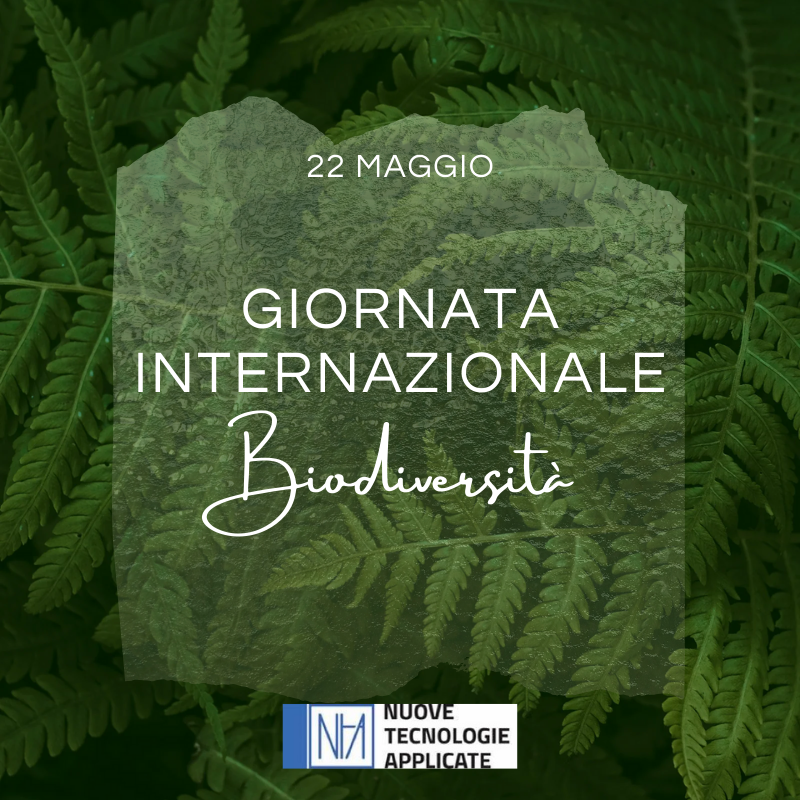 NTApplicate's tweet photo. #GiornataInternazionaleBiodiversità
#22maggio
#InternationalDayforBiologicalDiversity https://t.co/sTtTZ6Xyzl