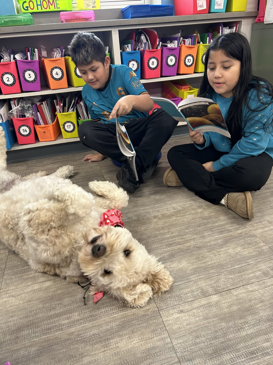 Pleasant Run Elem. tweet media