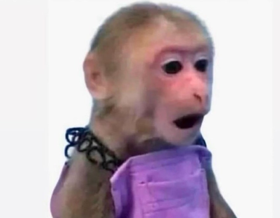 Me: "I should have about $200 left"
Bank balance: $2.13
Me: