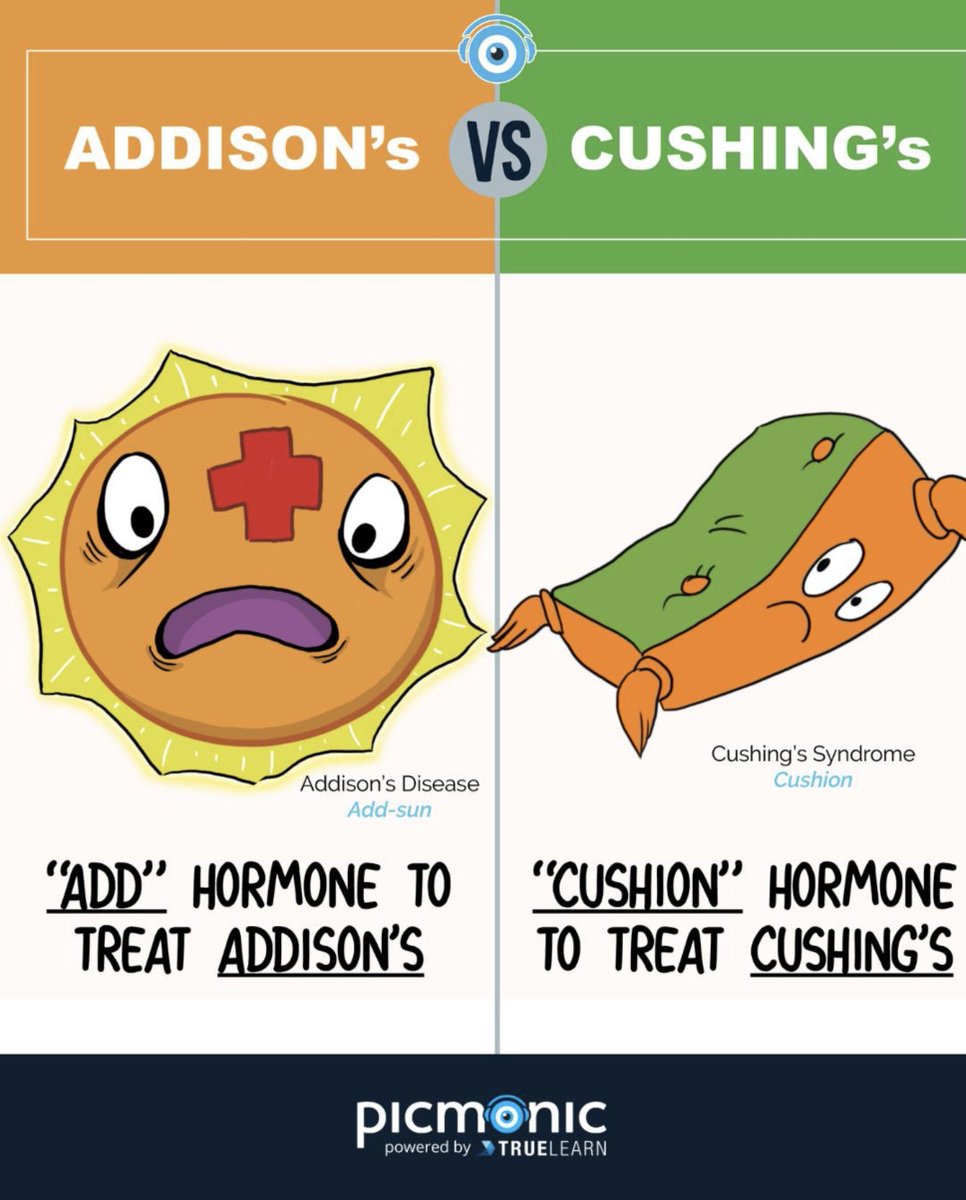 Picmonic tweet media