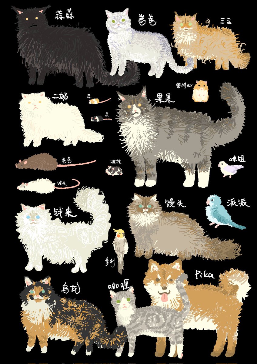 PreeN松饼饼饼饼 tweet media