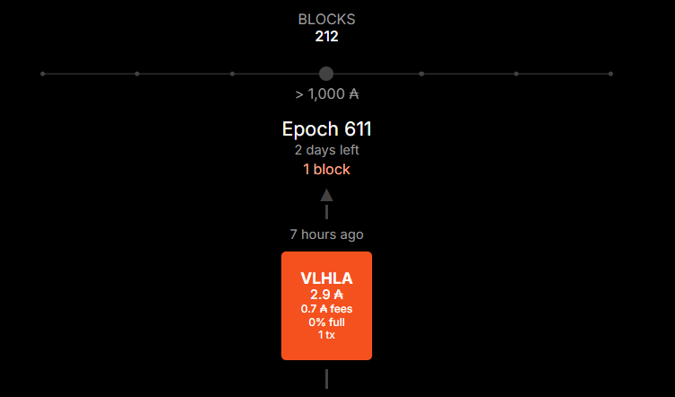 Valhalla Pool - |VLHLA| tweet media