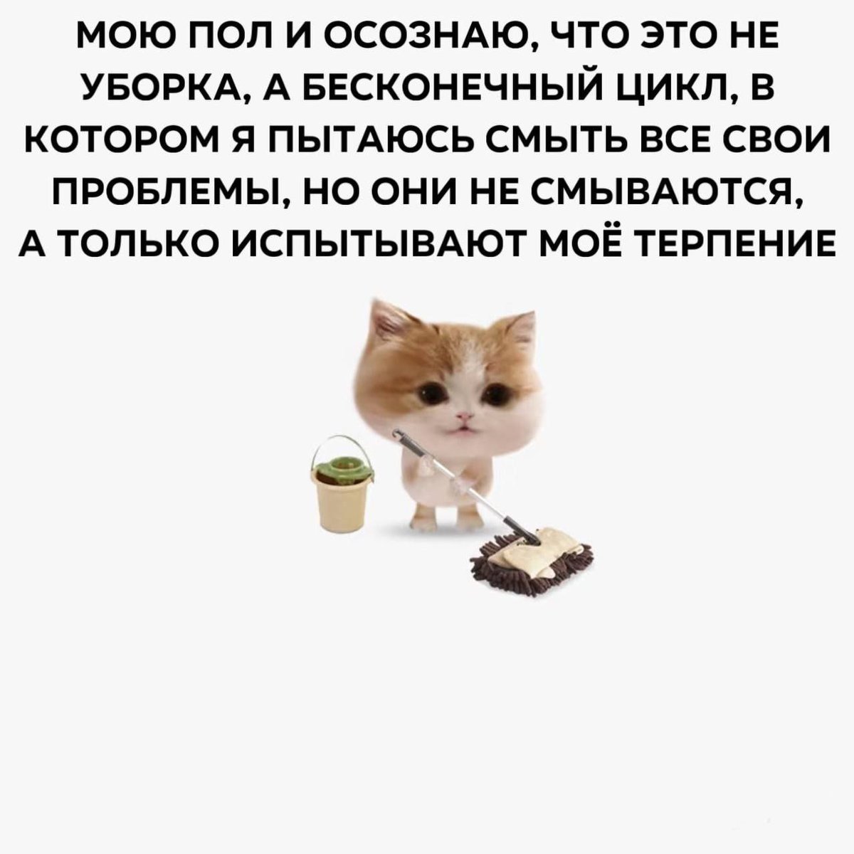 catsilcats's tweet photo. https://t.co/hvxNavzUMo