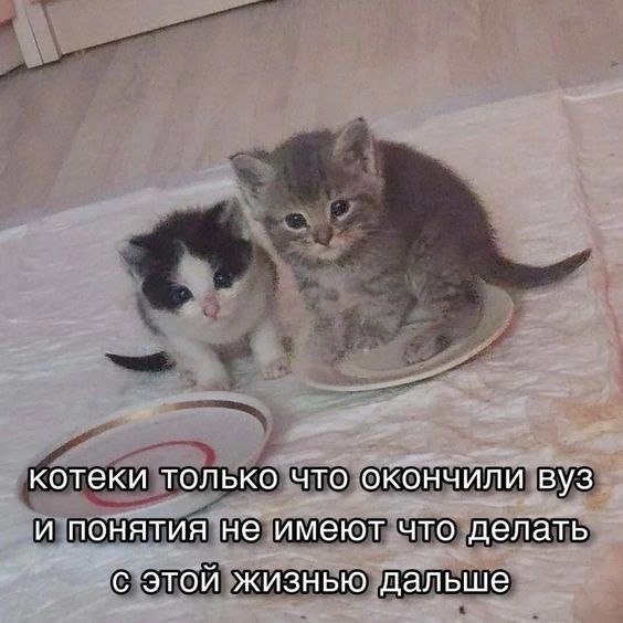 100% понимания