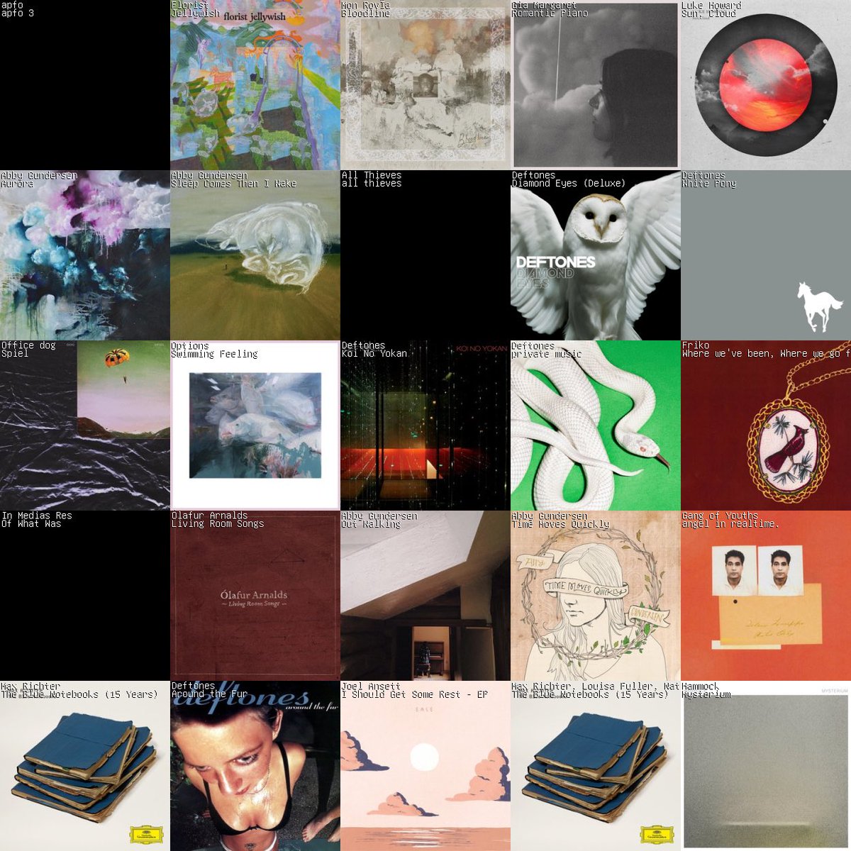 A Place For Owls tweet media