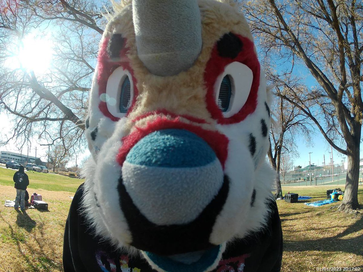 You got treats in your pocket, I can smell them. You gonna give me some or what?

#FursuitFriday #furry #furrycommunity #furryfandom #fursuiter