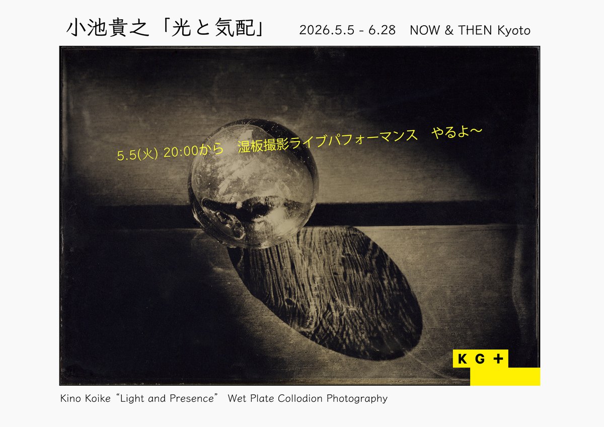 Kino Koike Photography tweet media