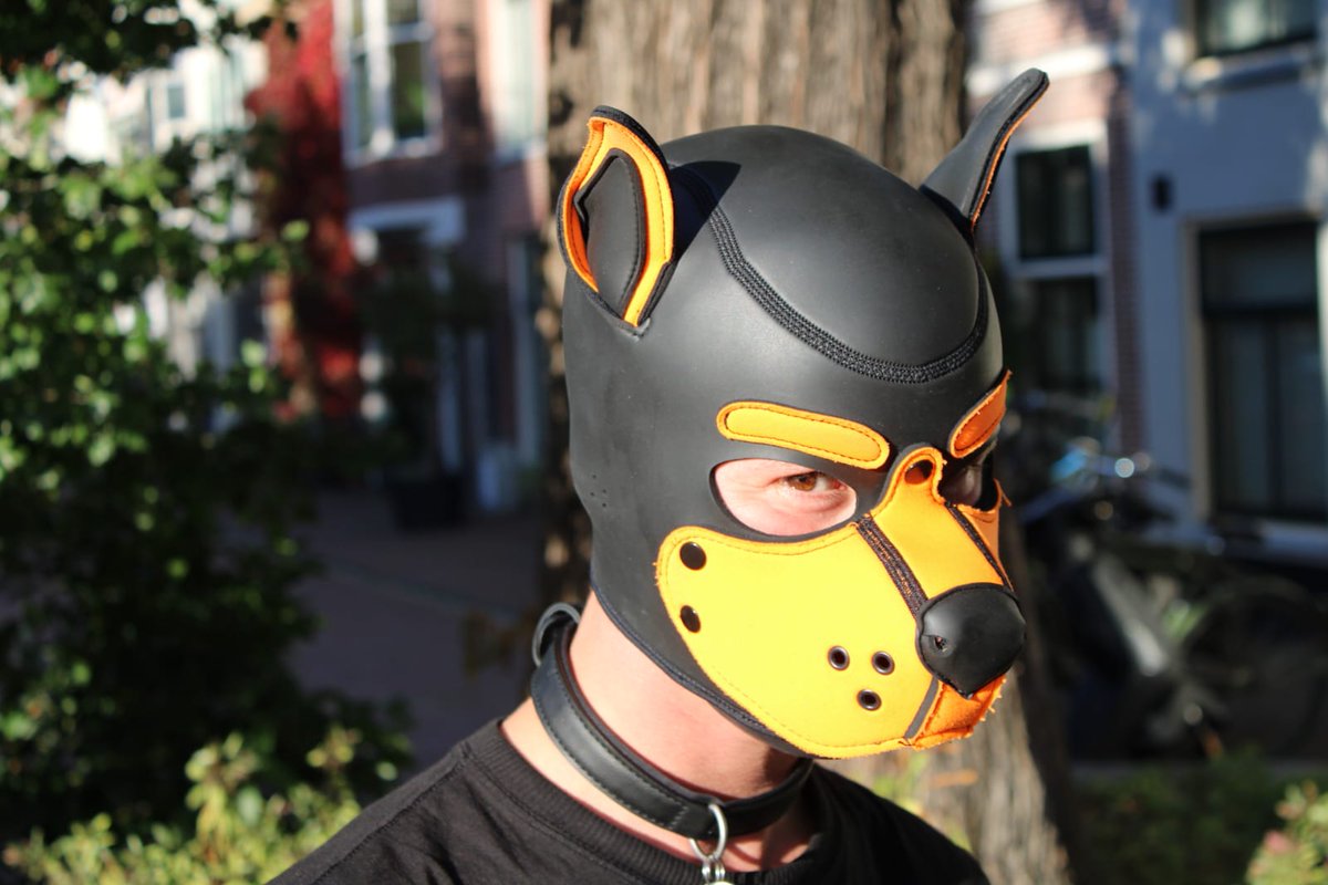 Don't stop wearing your hood in public♥️ <a href="/AceTheFemboi/">Ace</a>