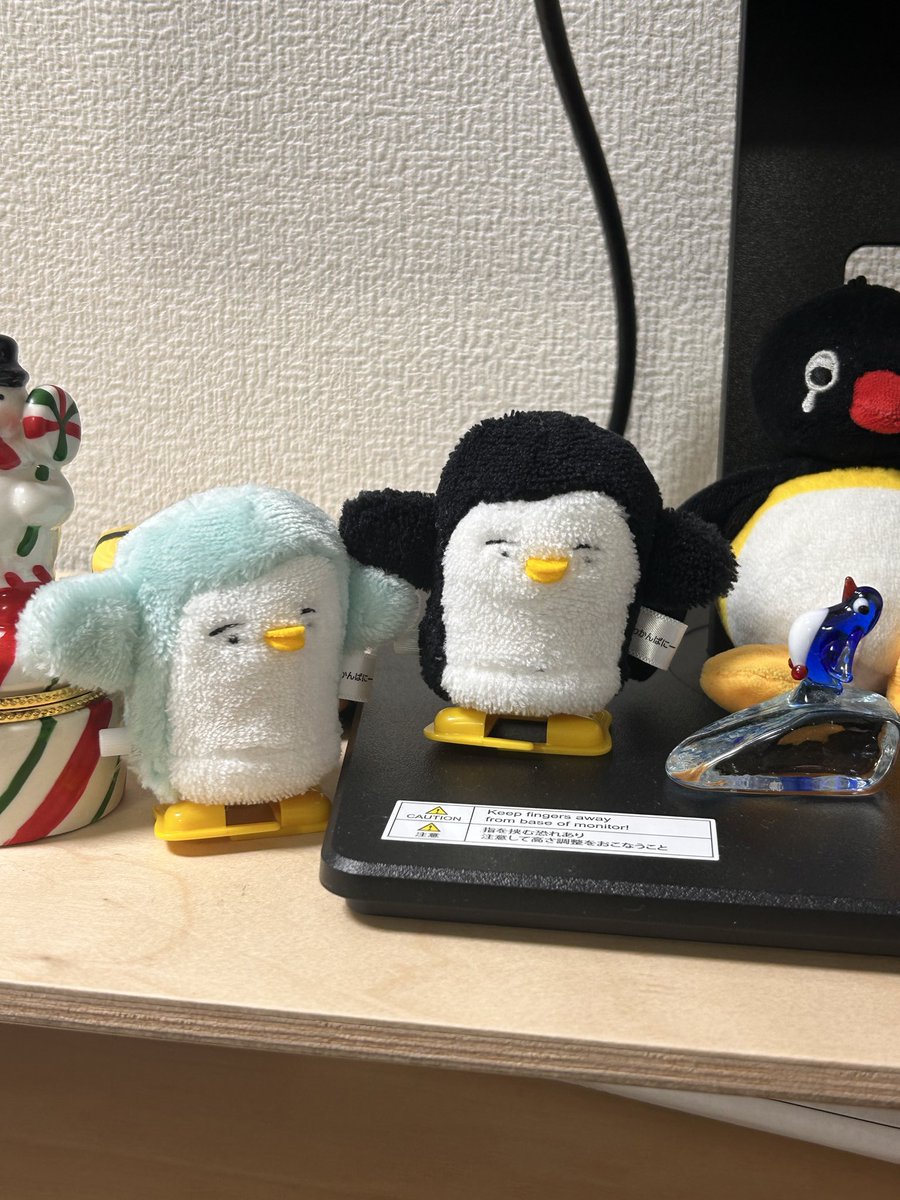 わかんぱにー☺︎ (@wkn8) / Posts / X