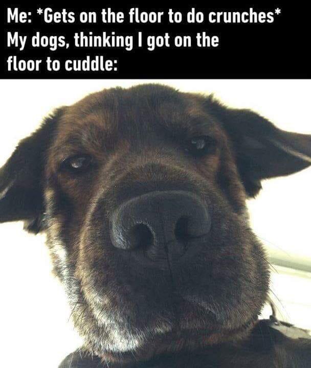 SpillTheMemes's tweet image. 😂