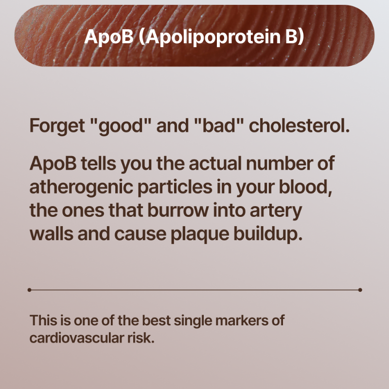 NovosLabs's tweet photo. Your lifespan isn't a mystery. It's measurable.

These biomarkers don't just predict disease, they reveal how fast you're aging at the cellular level.

The good news? Each is modifiable through nutrition, physical activity, sleep, and lifestyle.

Test. Track. Intervene early.