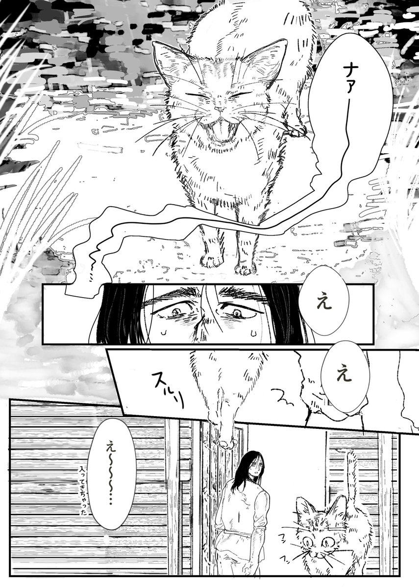 Post by ﾅｼ on X: 猫