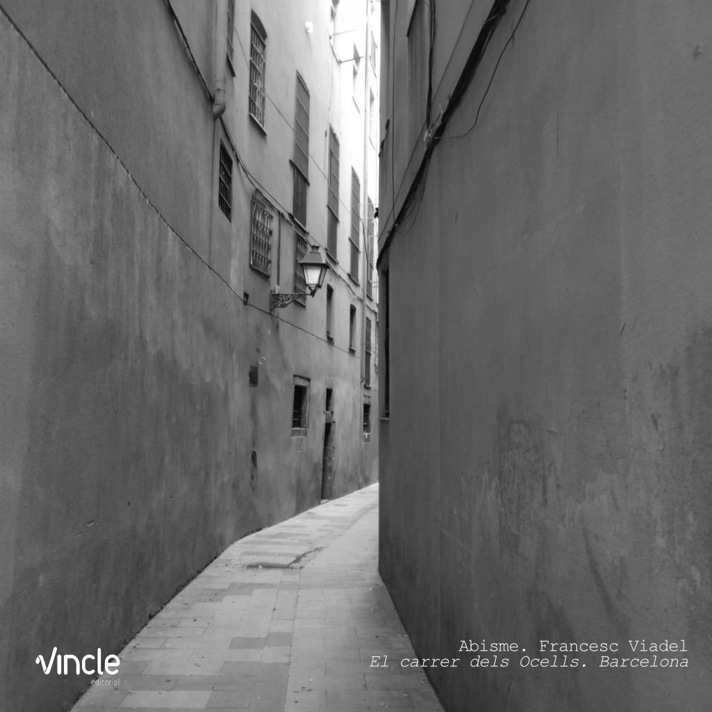 Vincle Editorial tweet media