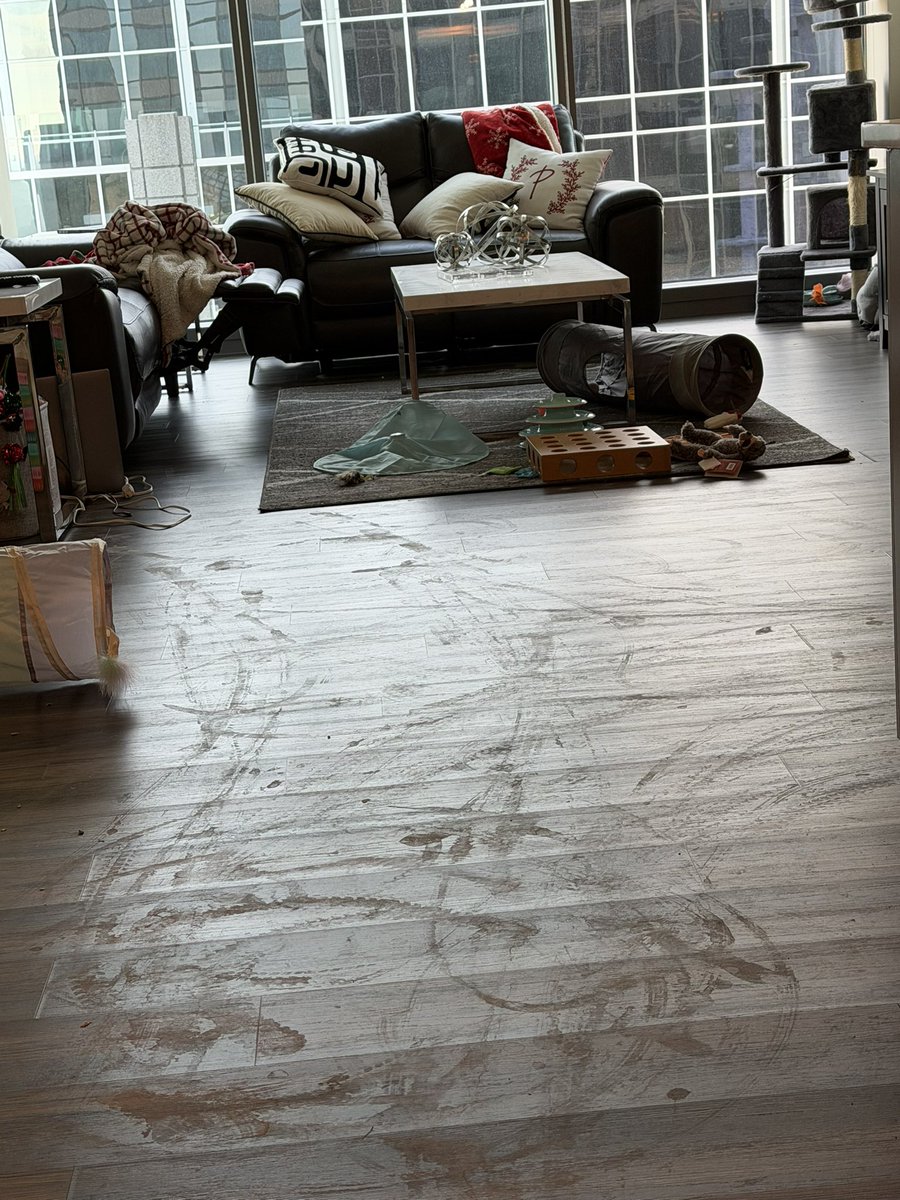 Will Privette tweet media