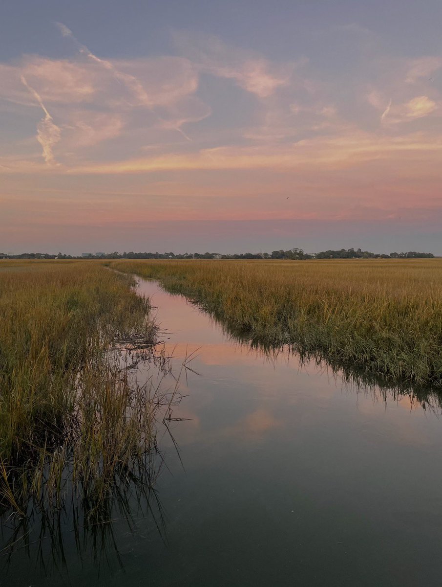 ChuckTownDaily's tweet photo. Charleston sunset dreams π
π
π
#charlestonsunset #charlestonphotography #charlestondaily https://t.co/oTVm68ZBvK