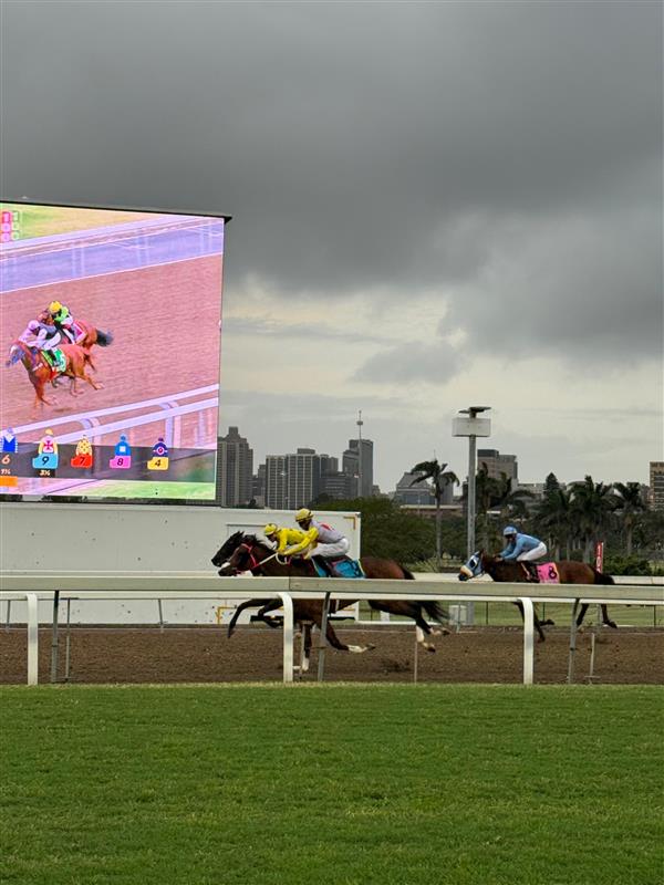luckyfishza's tweet photo. Bold Run begins. π€π
Tonight, we take over Greyville Race Course for a night where racing meets energy, style meets luck, and anything feels possible.
Big races. Bigger vibes.
Letβs see where the night takes us. β¨π
#LuckyFish #BetWithTheBold #BoldRun #GreyvilleRacing #NightAtTheRaces