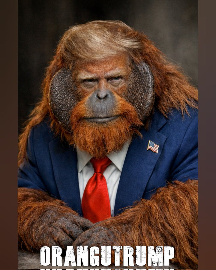 Maverick tweet media