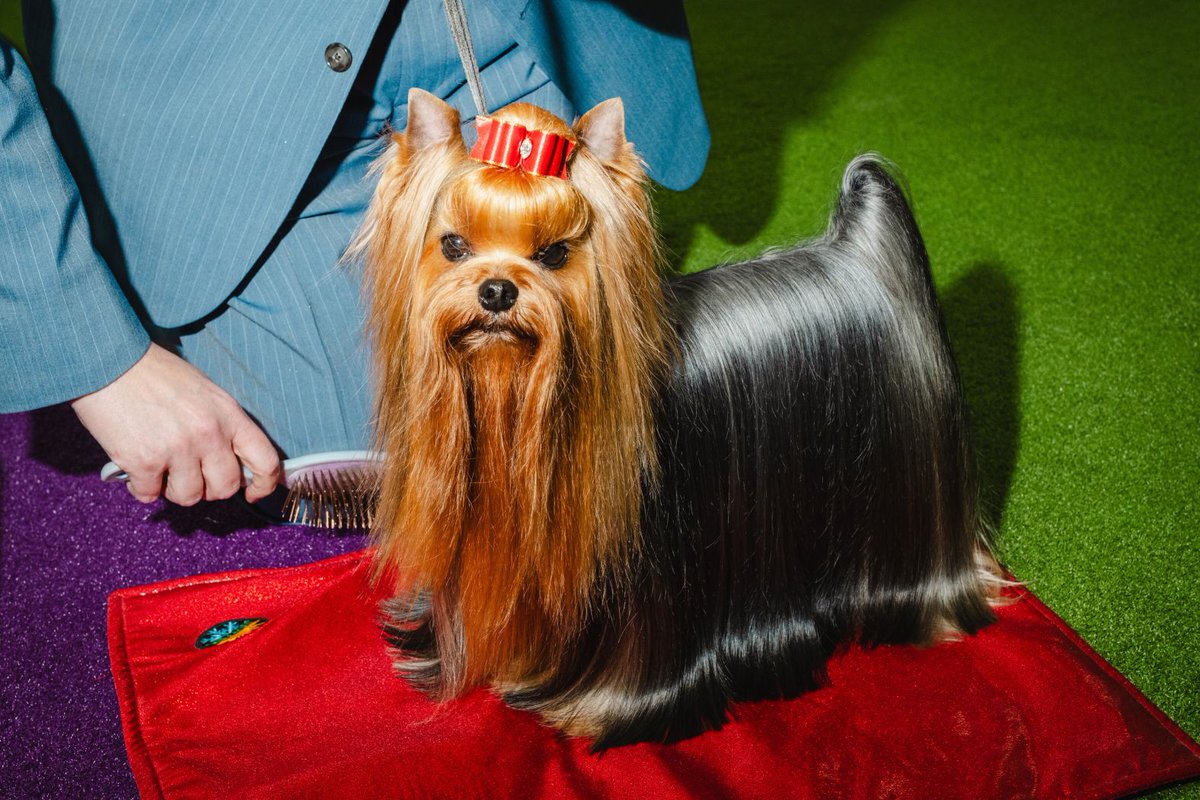 CNN Photos tweet media