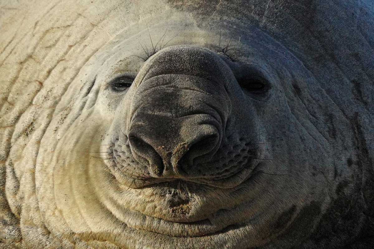 CNN Photos tweet media